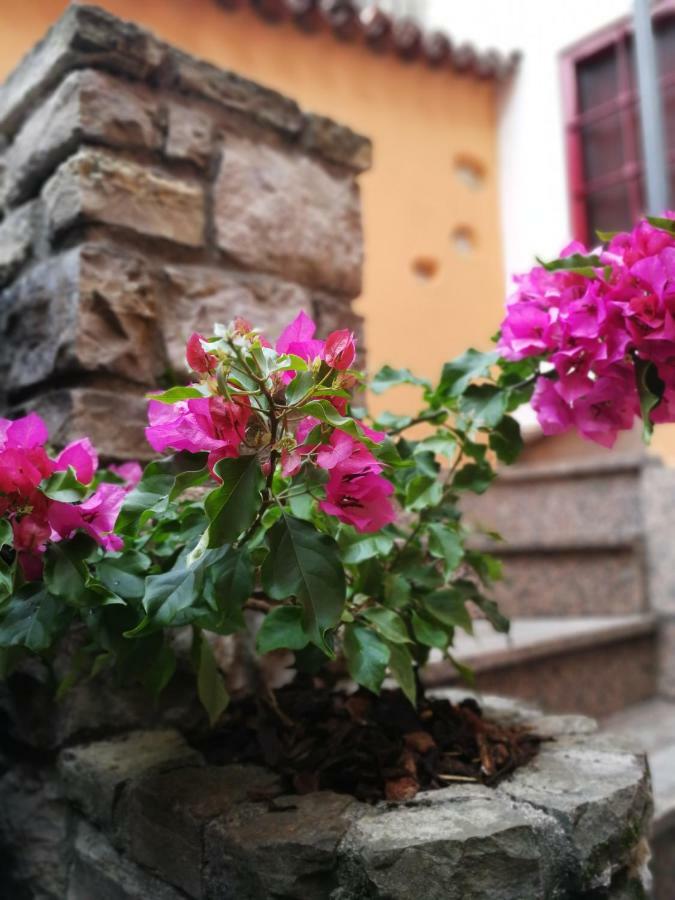 La Corte Dell'Angelo 오리오알세리오 외부 사진